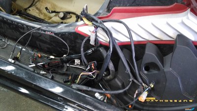 IMG_20160521_114025.jpg