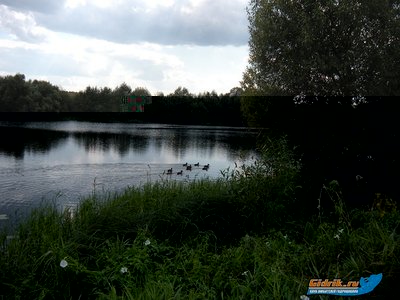0000 2867.jpg