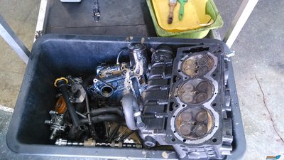 IMG_20160507_110941.jpg