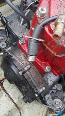 IMG-20160918-WA0017.jpg