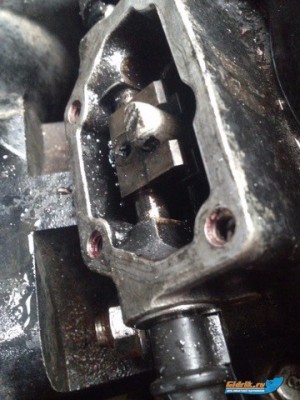 Без названия (3).jpg