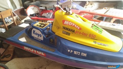 2017-04-03 10.55.36.jpg