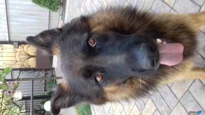 20180830_173014.jpg