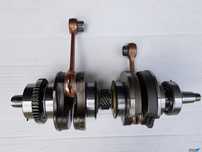 20190412_113651.jpg