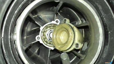 20190622_214641.jpg
