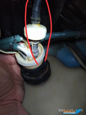 IMG-20200518-WA0026.jpg