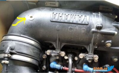 Пробка под зонд.JPG