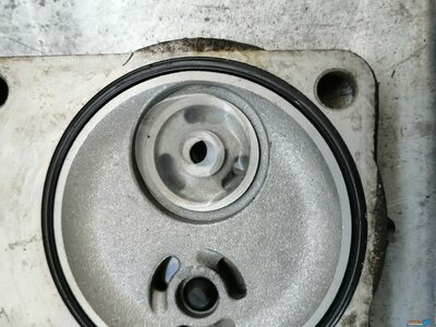 IMG_20220825_154926 (2).jpg