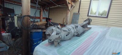 IMG_20260510_204439.jpg
