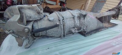 IMG_20260510_204447.jpg