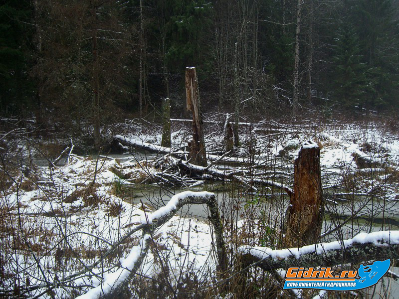 CIMG6424_изменить размер.JPG