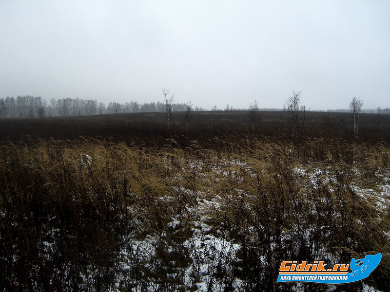 CIMG6440_изменить размер.JPG