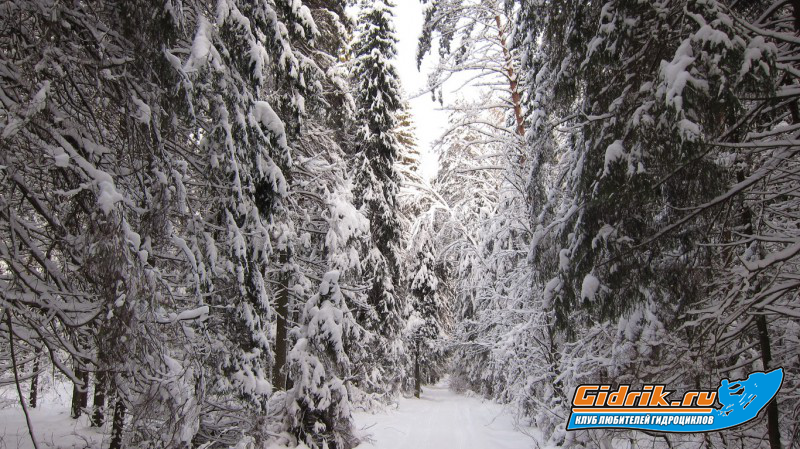 IMG_3518_изменить размер.JPG